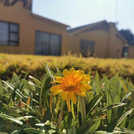 The Yellow Butterfly Vereeniging Exterior photo